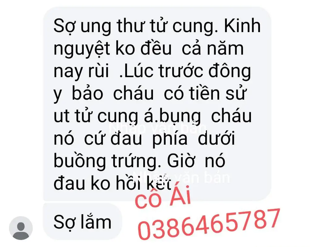 Phản hồi khách hàng