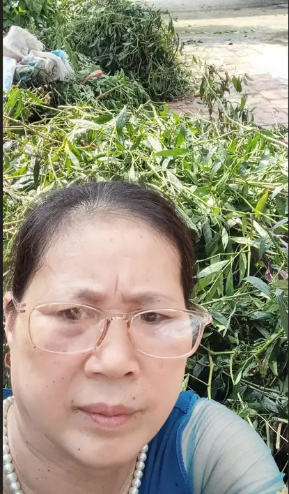 Sơ chế lá thuốc