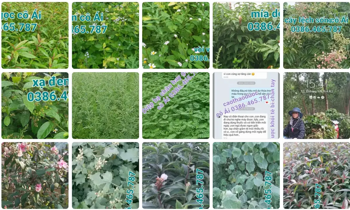 Nấu cao thảo dược thủ công